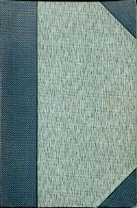 Blennerhassett, Streiflichter. (Umschlag)