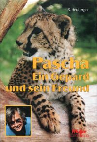 Heuberger, Pascha. (Umschlag)