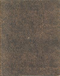 Plattner, Walter Plattner ; 1893-1922. (Umschlag)