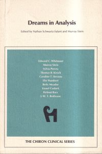 Schwartz-Salant/Stein, Dreams in Analysis (Umschlag)