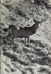 Schmidt, Der Hirsch in unseren Bergen. (Umschlag)