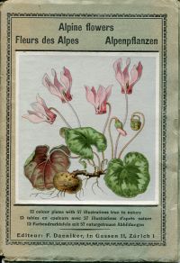 Alpine flowers. (Umschlag)