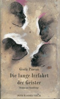 Pineau, Die lange Irrfahrt der Geister. (Umschlag)