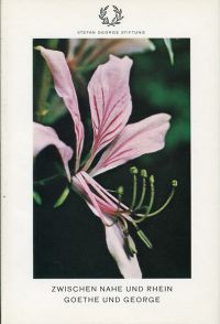 Junker, Zwischen Nahe und Rhein, Goethe und George. (Umschlag)