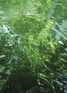 bildreich karten PK 18: aquarell I.