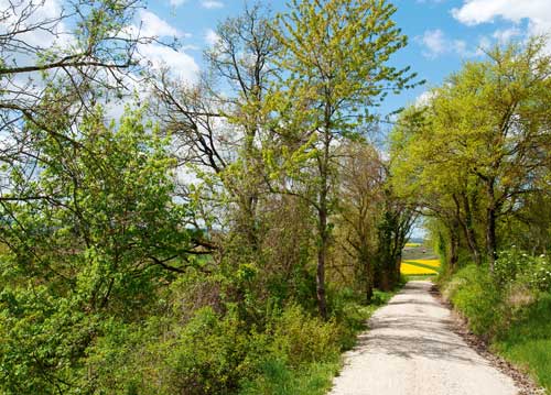 bildreich karten PK 1035: herzhell.