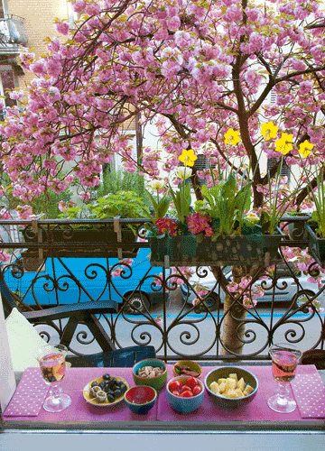 bildreich karten PK 1111: kirschbluetenfest auf dem balkon.