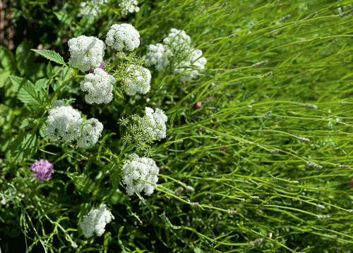 bildreich karten PK 1141: im licht.