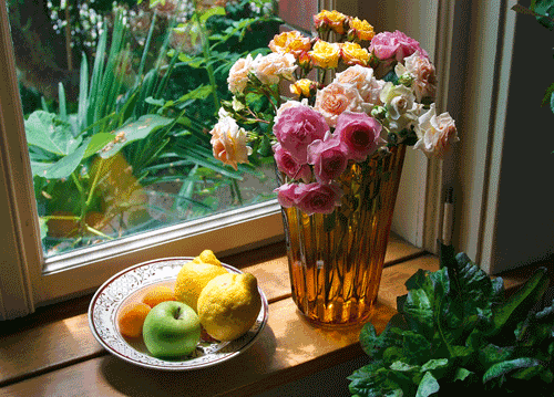 bildreich karten PK 1161: sommermorgen in baerbels kueche.