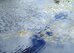 bildreich karten PK 187: lichtspiel.