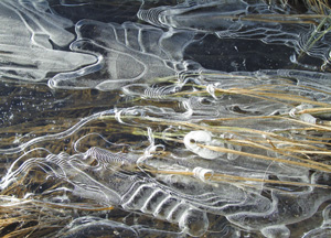 bildreich karten PK 202: eiswellen I.