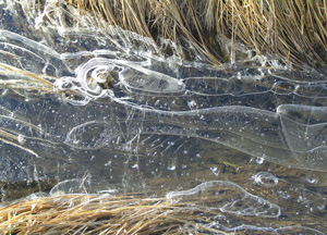 bildreich karten PK 203: eiswellen II.