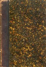 Tille, Aus Englands Flegeljahren. (Umschlag)