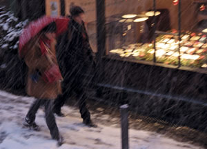 bildreich karten PK 487: durch den schnee.