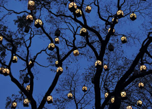 bildreich karten PK 490: laternenbaum.