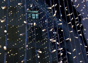 bildreich karten PK 491: tausend lichter.