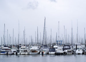 bildreich karten PK 501: hafen.