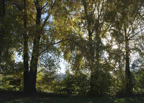 bildreich karten PK 687: am greifensee.