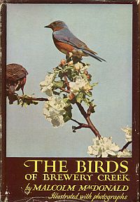 MacDonald, Birds of Brewery Creek. (Umschlag)