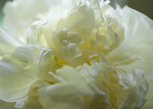 bildreich karten PK 792: innerlich.