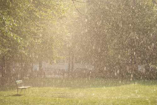 bildreich karten PK 802: fruehlingsregen II.