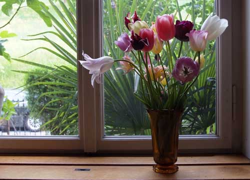 bildreich karten PK 817: tulpengruss.