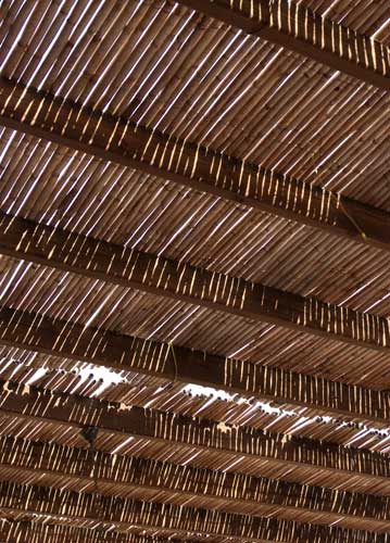 bildreich karten PK 829: schattenspender.