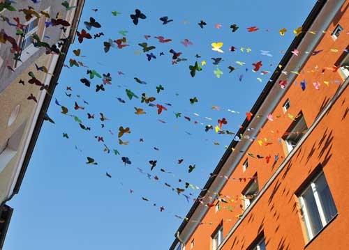 bildreich karten PK 901: sommerschwarm.