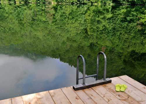 bildreich karten PK 939: morgenfrische.