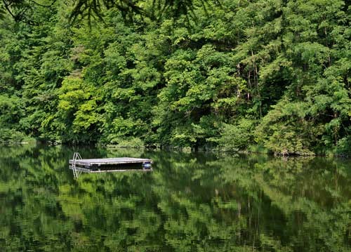 bildreich karten PK 940: mittendrin.