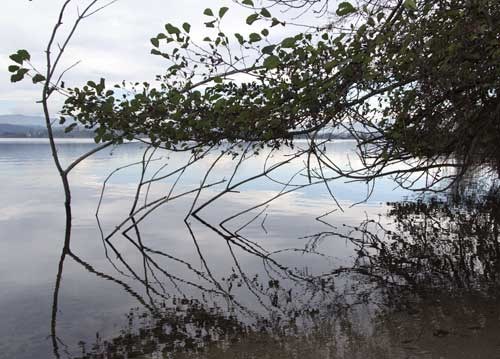 bildreich karten PK 965: spiegelspiel.