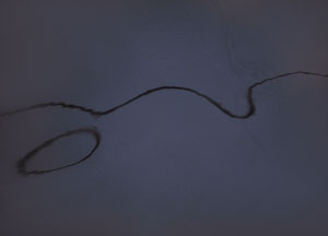 bildreich karten PK 5: spiegelung II, venedig.