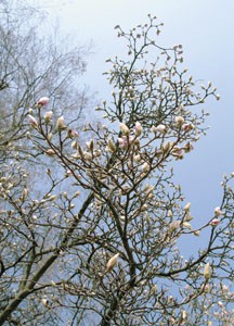 bildreich karten PK 15: