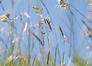 bildreich karten PK 87: