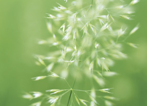 bildreich karten PK 164: