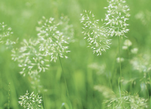 bildreich karten PK 166: