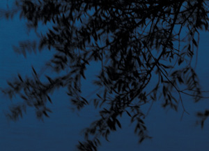 bildreich karten PK 240: nachtgewiegt I.