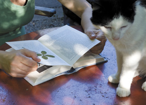 bildreich karten PK 303: heiligberger nachmittag mit wilma.