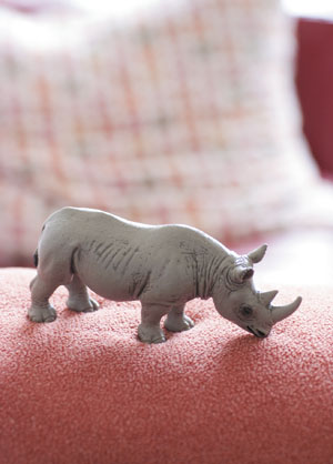 bildreich karten PK 405: rhino.