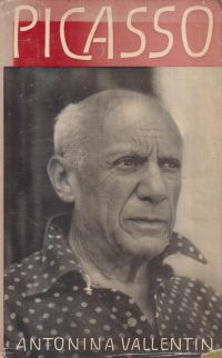 Vallentin, Pablo Picasso. (Umschlag)