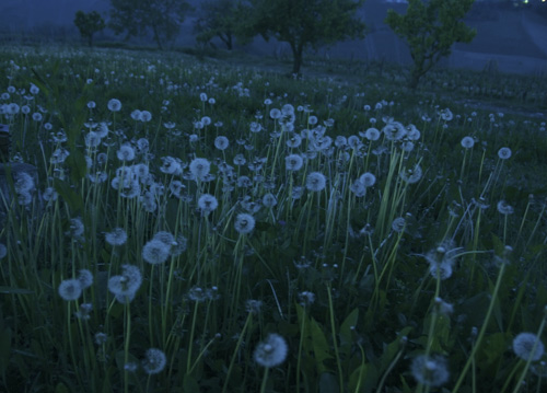 bildreich karten PK 619: abendstunde.