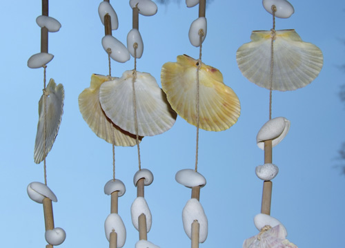 bildreich karten PK 621: muschelspiel.