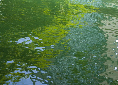 bildreich karten PK 635: aquarell II.