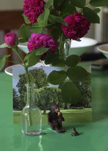 bildreich karten PK 656: nein? doch..