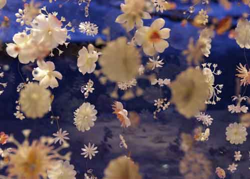 bildreich karten PK 670: l'air des fleurs II.