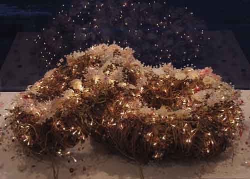 bildreich karten PK 671: sternenrieseln.