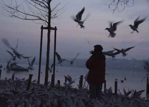 bildreich karten PK 680: die möwenfrau.