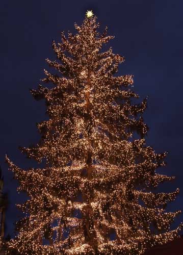 bildreich karten PK 749: ...wie hell sind deine lichter.