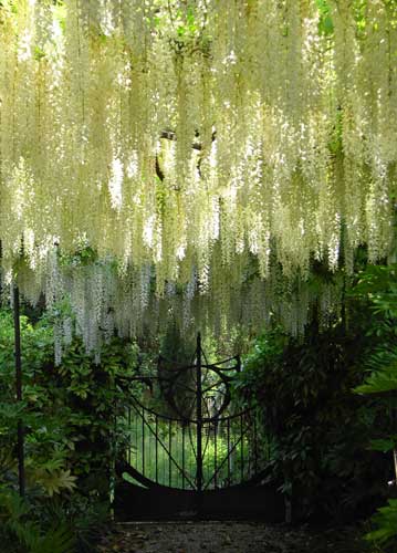 bildreich karten PK 804: paradiesweg.