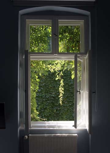 bildreich karten PK 831: gruener duft.